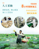 广州从事泡藕带批发价格泡菜系列