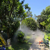 庭院人造雾喷雾主机高压喷雾造景设备